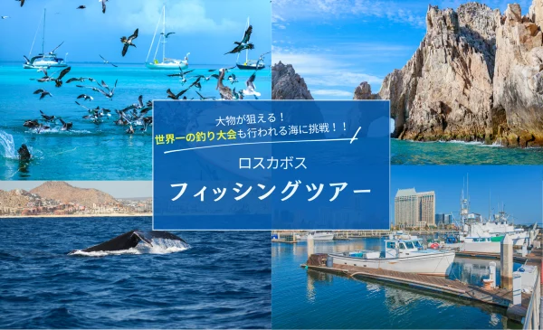 大物が狙える！船が選べる！【ロスカボス フィッシングツアー】ホエールウォッチングも★