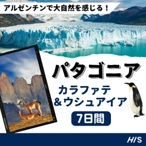 パタゴニア6泊7日ツアー