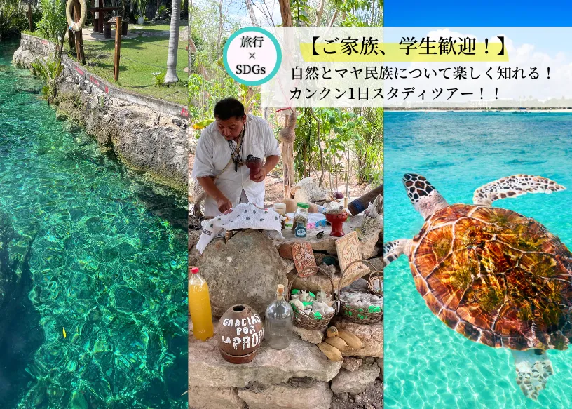マヤ　アクマル　ウミガメ　シャーマン　スタディーツアー