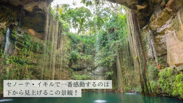 下から見たセノーテ・イキル