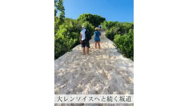 大レンソイスに続く坂道