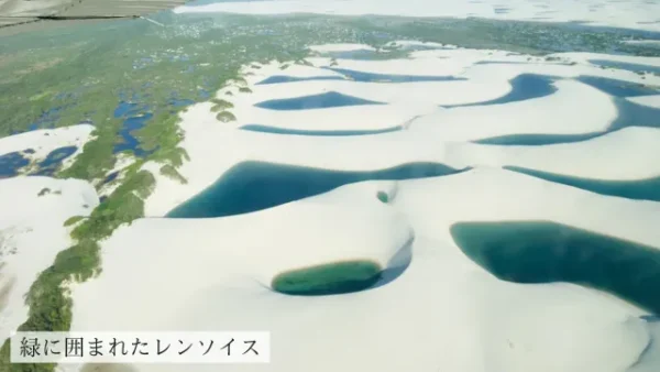 レンソイスの緑と砂丘