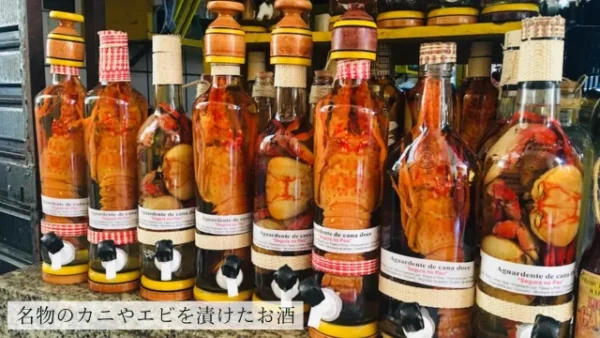 サンルイスのお酒