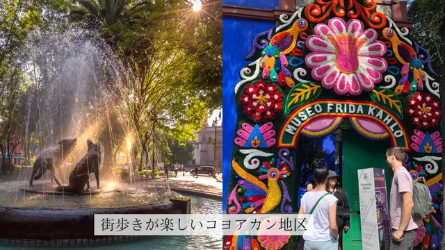 週末散策に最適！コヨアカン地区