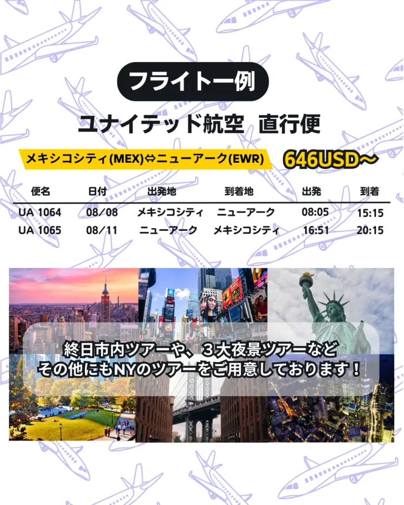 ニューヨーク　フライト　メキシコ　一例