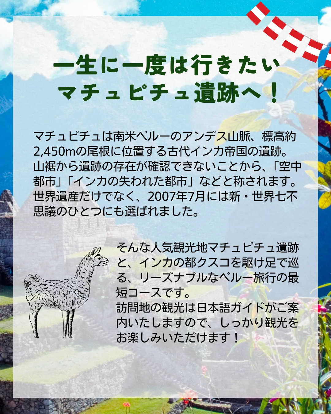 ペルー　マチュピチュ　ツアー　ポイント