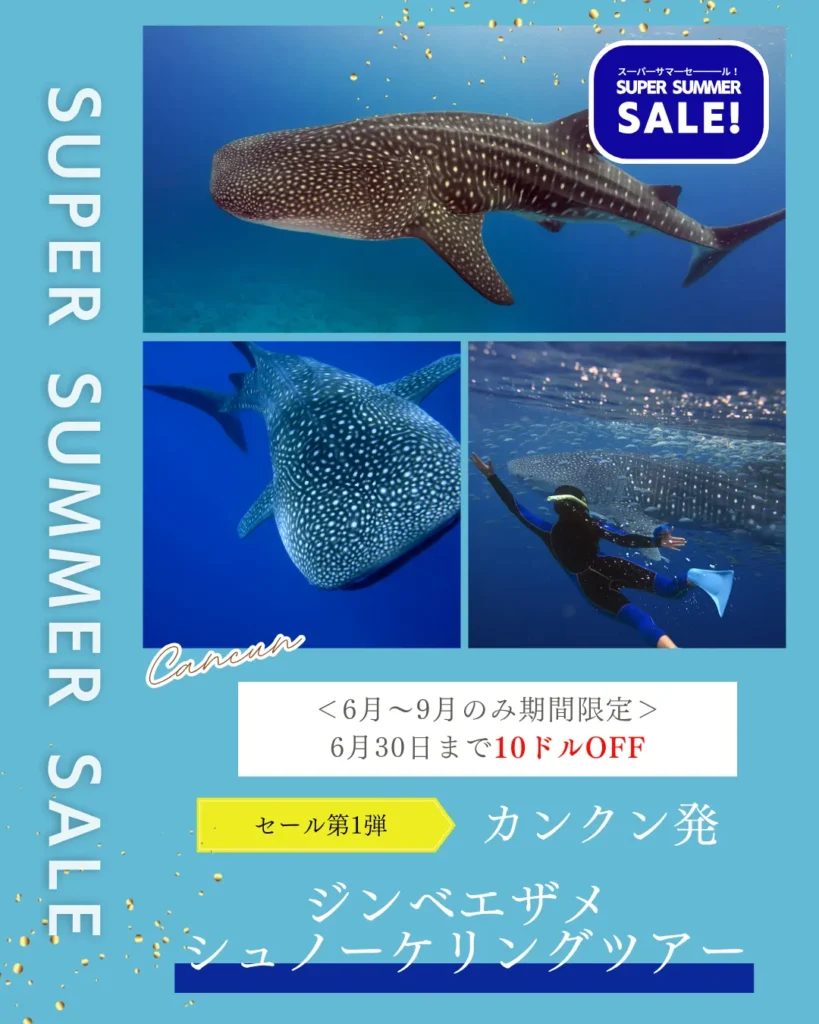 スーパーサマーセール　カンクン　ジンベエザメツアー　セール