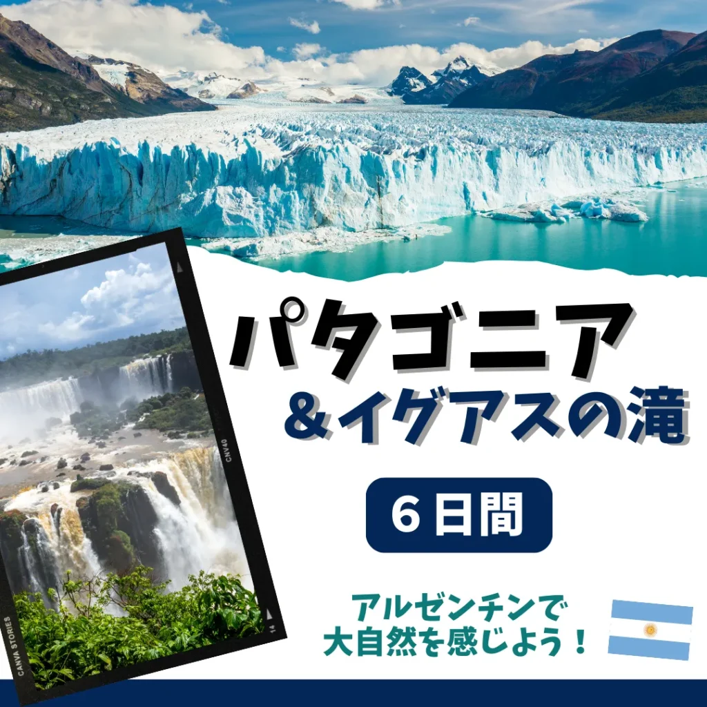 パタゴニアイグアス１