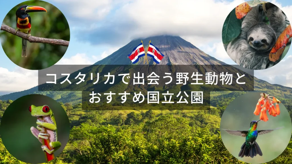 コスタリカ　ブログ