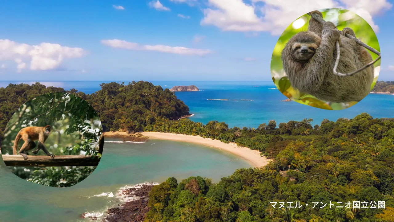 マヌエル・アントニオ国立公園